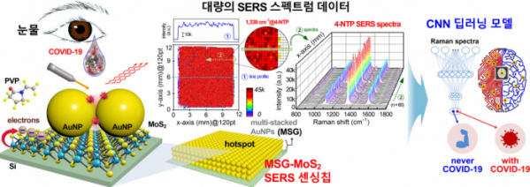 ▲딥러닝 기반 라만 산란 기술을 활용한 바이오센서 플랫폼 (사진제공=강북삼성병원)