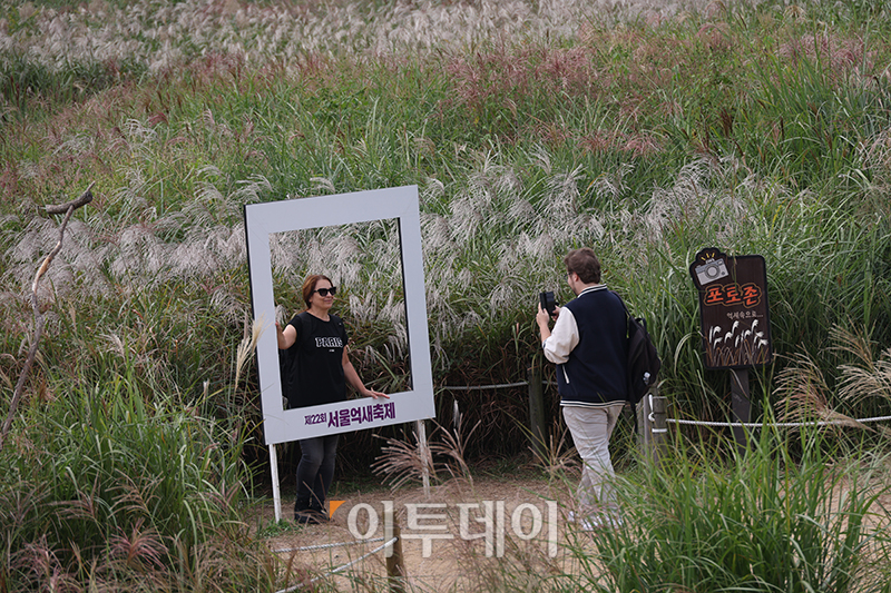 ▲절기상 한로(寒露)를 하루 앞둔 7일 서울 마포구 하늘공원을 찾은 관광객들이 억새밭을 거닐며 가을을 만끽하고 있다. 고이란 기자 photoeran@