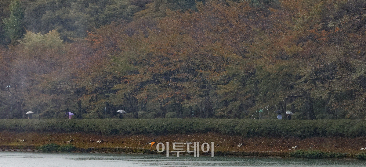 ▲전국에 가을비가 내린 18일 서울 송파구 석촌호수에서 우산을 쓴 시민들이 발걸음을 옮기고 있다. 기상청은 이날부터 19일 오전까지 전국 대부분 지역에 시간당 20~30㎜ 비가 내리겠다고 예보했다. 이틀간 예상 강수량은 수도권, 서해5도, 강원내륙, 대전, 세종, 충청 20~60㎜, 부산, 울산, 경남 남해안, 경북 북부, 울릉도·독도 30~80㎜, 대구, 경북 남부, 경남내륙 10~50㎜, 제주도 10~60㎜ 등이다. 비가 그친 후에는 북쪽에서 찬 공기가 남하하면서 전국 대부분 지역에서 아침 기온은 10도 내외 급격한 기온 변화로 인한 건강관리에 유의해야 한다. 조현호 기자 hyunho@