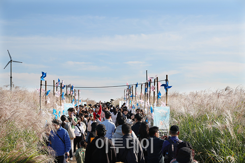 ▲20일 서울 마포구 상암동 하늘공원에서 제23회 서울억새축제를 찾은 시민들이 가을 산책을 하고 있다. '억새 바람을 품다'를 주제로 25일까지 열리는 이번 축제에는 음악과 함께 레이저 조명으로 억새 야간 경관을 수놓는 '억새바람 라이팅쇼'를 비롯해 소원바위, 바람길 등 소원을 적고 걸 수 있는 '바람존'과 억새 경관과 함께 어우러지는 바람풍선, 억새 사인물 그네 등의 '억새바람 포토존' 등을 운영한다. 고이란 기자 photoeran@