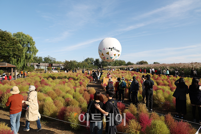 ▲20일 서울 마포구 상암동 하늘공원에서 제23회 서울억새축제를 찾은 시민들이 가을 산책을 하고 있다. '억새 바람을 품다'를 주제로 25일까지 열리는 이번 축제에는 음악과 함께 레이저 조명으로 억새 야간 경관을 수놓는 '억새바람 라이팅쇼'를 비롯해 소원바위, 바람길 등 소원을 적고 걸 수 있는 '바람존'과 억새 경관과 함께 어우러지는 바람풍선, 억새 사인물 그네 등의 '억새바람 포토존' 등을 운영한다. 고이란 기자 photoeran@