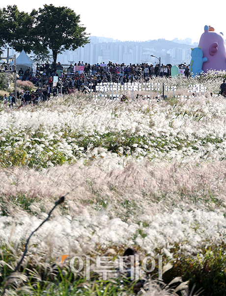 ▲20일 서울 마포구 상암동 하늘공원에서 제23회 서울억새축제를 찾은 시민들이 가을 산책을 하고 있다. '억새 바람을 품다'를 주제로 25일까지 열리는 이번 축제에는 음악과 함께 레이저 조명으로 억새 야간 경관을 수놓는 '억새바람 라이팅쇼'를 비롯해 소원바위, 바람길 등 소원을 적고 걸 수 있는 '바람존'과 억새 경관과 함께 어우러지는 바람풍선, 억새 사인물 그네 등의 '억새바람 포토존' 등을 운영한다. 고이란 기자 photoeran@