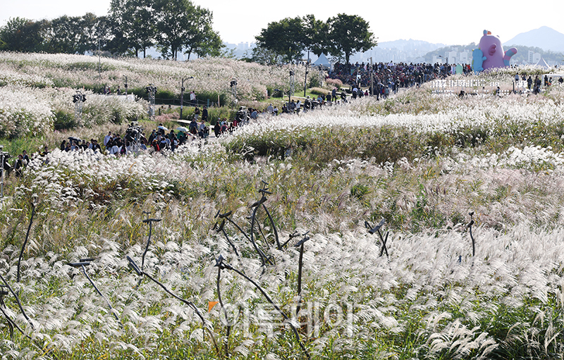▲20일 서울 마포구 상암동 하늘공원에서 제23회 서울억새축제를 찾은 시민들이 가을 산책을 하고 있다. '억새 바람을 품다'를 주제로 25일까지 열리는 이번 축제에는 음악과 함께 레이저 조명으로 억새 야간 경관을 수놓는 '억새바람 라이팅쇼'를 비롯해 소원바위, 바람길 등 소원을 적고 걸 수 있는 '바람존'과 억새 경관과 함께 어우러지는 바람풍선, 억새 사인물 그네 등의 '억새바람 포토존' 등을 운영한다. 고이란 기자 photoeran@