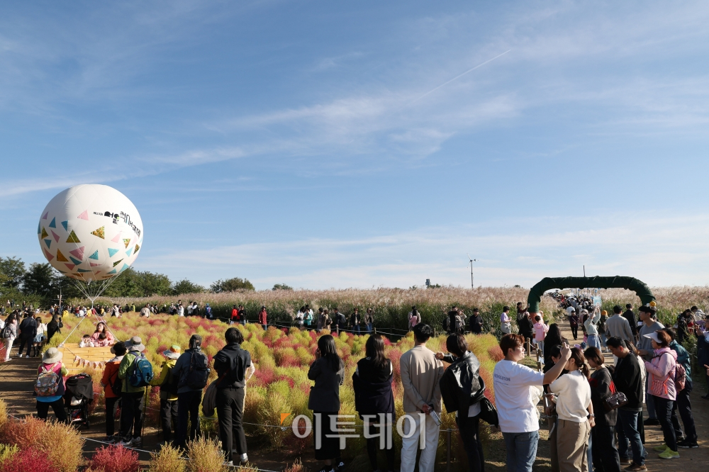 ▲서울 마포구 상암동 하늘공원에서 제23회 서울억새축제를 찾은 시민들이 가을 산책을 하고 있다. 고이란 기자 photoeran@