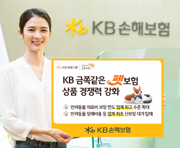 (사진제공=KB손해보험)