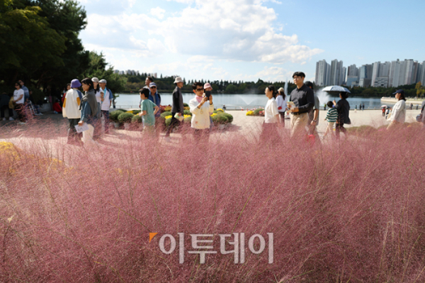 ▲개천절 휴일을 맞은 3일 경기도 고양 일산호수공원에서 시민들이 2024 고양가을꽃축제를 즐기고 있다. 13일까지 열리는 이번 축제는 일산호수공원 주제광장과 고양꽃전시관 앞에서 무료로 가을꽃을 관람할 수 있다. 고이란 기자 photoeran@