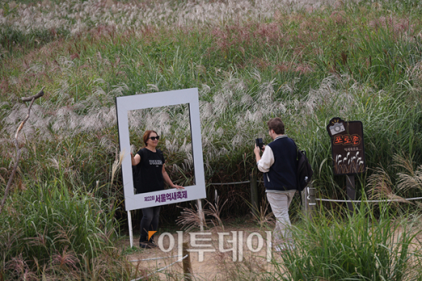 ▲절기상 한로(寒露)를 하루 앞둔 7일 서울 마포구 하늘공원을 찾은 관광객들이 억새밭을 거닐며 가을을 만끽하고 있다. 고이란 기자 photoeran@