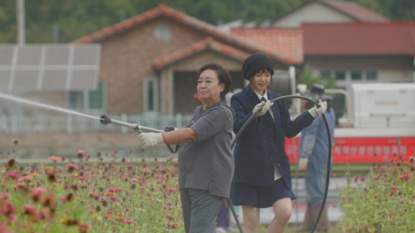 ▲'박원숙의 같이 삽시다'(사진제공=KBS 2TV)