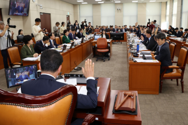 ▲10일 오전 서울 여의도 국회에서 열린 행정안전위원회 국정감사에서 신정훈 행안위원장이 증인 불출석한 명태균씨와 김영선 전 국민의힘 의원에 동행명령장을 발부할지 거수투표 하고 있다.  (뉴시스)