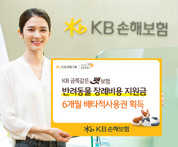 (사진제공=KB손해보험)