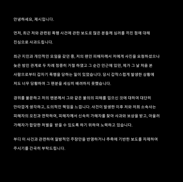 가수 제시, 일행의 팬 폭행 의혹 사과 "가해자 처음 본 사람"-비즈엔터