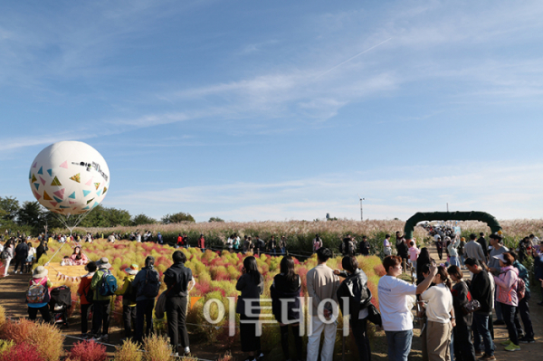 ▲20일 서울 마포구 상암동 하늘공원에서 제23회 서울억새축제를 찾은 시민들이 가을 산책을 하고 있다. '억새 바람을 품다'를 주제로 25일까지 열리는 이번 축제에는 음악과 함께 레이저 조명으로 억새 야간 경관을 수놓는 '억새바람 라이팅쇼'를 비롯해 소원바위, 바람길 등 소원을 적고 걸 수 있는 '바람존'과 억새 경관과 함께 어우러지는 바람풍선, 억새 사인물 그네 등의 '억새바람 포토존' 등을 운영한다. 고이란 기자 photoeran@