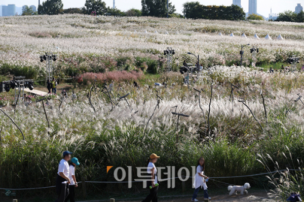 ▲20일 서울 마포구 상암동 하늘공원에서 제23회 서울억새축제를 찾은 시민들이 가을 산책을 하고 있다. '억새 바람을 품다'를 주제로 25일까지 열리는 이번 축제에는 음악과 함께 레이저 조명으로 억새 야간 경관을 수놓는 '억새바람 라이팅쇼'를 비롯해 소원바위, 바람길 등 소원을 적고 걸 수 있는 '바람존'과 억새 경관과 함께 어우러지는 바람풍선, 억새 사인물 그네 등의 '억새바람 포토존' 등을 운영한다. 고이란 기자 photoeran@