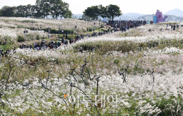 ▲20일 서울 마포구 상암동 하늘공원에서 제23회 서울억새축제를 찾은 시민들이 가을 산책을 하고 있다. '억새 바람을 품다'를 주제로 25일까지 열리는 이번 축제에는 음악과 함께 레이저 조명으로 억새 야간 경관을 수놓는 '억새바람 라이팅쇼'를 비롯해 소원바위, 바람길 등 소원을 적고 걸 수 있는 '바람존'과 억새 경관과 함께 어우러지는 바람풍선, 억새 사인물 그네 등의 '억새바람 포토존' 등을 운영한다. 고이란 기자 photoeran@