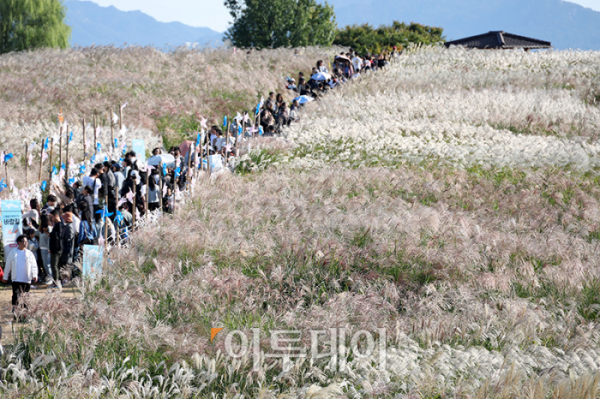 ▲20일 서울 마포구 상암동 하늘공원에서 제23회 서울억새축제를 찾은 시민들이 가을 산책을 하고 있다. '억새 바람을 품다'를 주제로 25일까지 열리는 이번 축제에는 음악과 함께 레이저 조명으로 억새 야간 경관을 수놓는 '억새바람 라이팅쇼'를 비롯해 소원바위, 바람길 등 소원을 적고 걸 수 있는 '바람존'과 억새 경관과 함께 어우러지는 바람풍선, 억새 사인물 그네 등의 '억새바람 포토존' 등을 운영한다. 고이란 기자 photoeran@