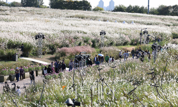 ▲20일 서울 마포구 상암동 하늘공원에서 제23회 서울억새축제를 찾은 시민들이 가을 산책을 하고 있다. '억새 바람을 품다'를 주제로 25일까지 열리는 이번 축제에는 음악과 함께 레이저 조명으로 억새 야간 경관을 수놓는 '억새바람 라이팅쇼'를 비롯해 소원바위, 바람길 등 소원을 적고 걸 수 있는 '바람존'과 억새 경관과 함께 어우러지는 바람풍선, 억새 사인물 그네 등의 '억새바람 포토존' 등을 운영한다. 고이란 기자 photoeran@