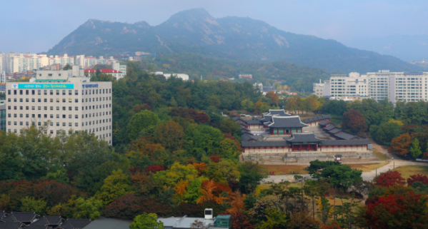 ▲전국이 대체로 흐린 날씨를 보인 28일 오전 서울 종로구 경희궁 주변이 단풍으로 물들어 있다. 기상청은 29일도 전국이 흐리고 제주도, 강원도 일부 지역, 전남해안 지역엔 비가 오는 곳이 있겠다고 예보했다. (연합뉴스)