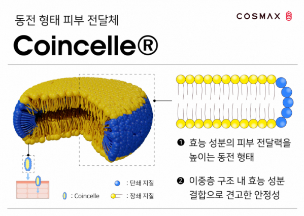 ▲코스맥스가 신규 피부 전달체 ‘코인셀(Coincelle)'을 개발했다. (사진제공=코스맥스)