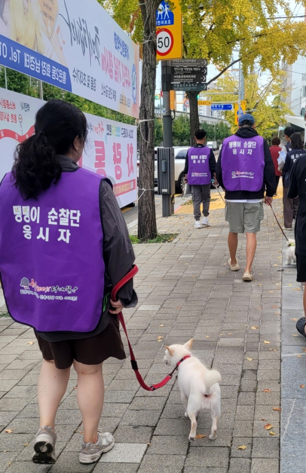 ▲‘서대문 댕댕이 순찰단’ 선발 테스트를 진행하는 모습. (사진제공=서대문구)