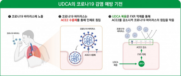 (사진제공=대웅제약)