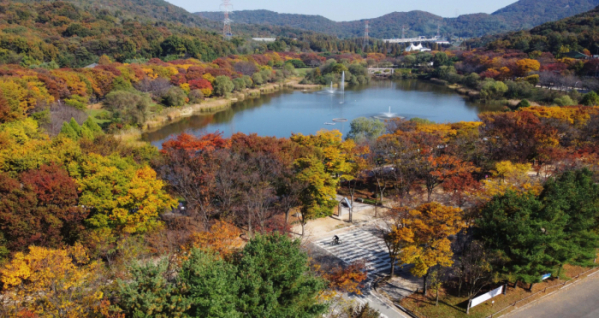 ▲완연한 가을 날씨를 보인 31일 인천 남동구 인천대공원에 울긋불긋 물들어가는 단풍이 깊어가는 계절의 정취를 전하고 있다. 올해는 긴 늦더위와 변덕스러운 날씨가 이어지며 예년보다 단풍 절정 시기가 늦어졌다. 신태현 기자 holjjak@