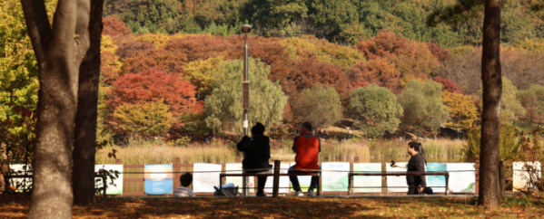 ▲완연한 가을 날씨를 보인 31일 인천 남동구 인천대공원에 울긋불긋 물들어가는 단풍이 깊어가는 계절의 정취를 전하고 있다. 올해는 긴 늦더위와 변덕스러운 날씨가 이어지며 예년보다 단풍 절정 시기가 늦어졌다. 신태현 기자 holjjak@