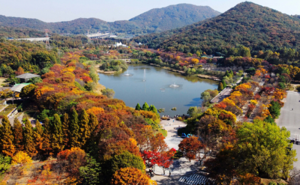 ▲완연한 가을 날씨를 보인 31일 인천 남동구 인천대공원에 울긋불긋 물들어가는 단풍이 깊어가는 계절의 정취를 전하고 있다. 올해는 긴 늦더위와 변덕스러운 날씨가 이어지며 예년보다 단풍 절정 시기가 늦어졌다. 신태현 기자 holjjak@