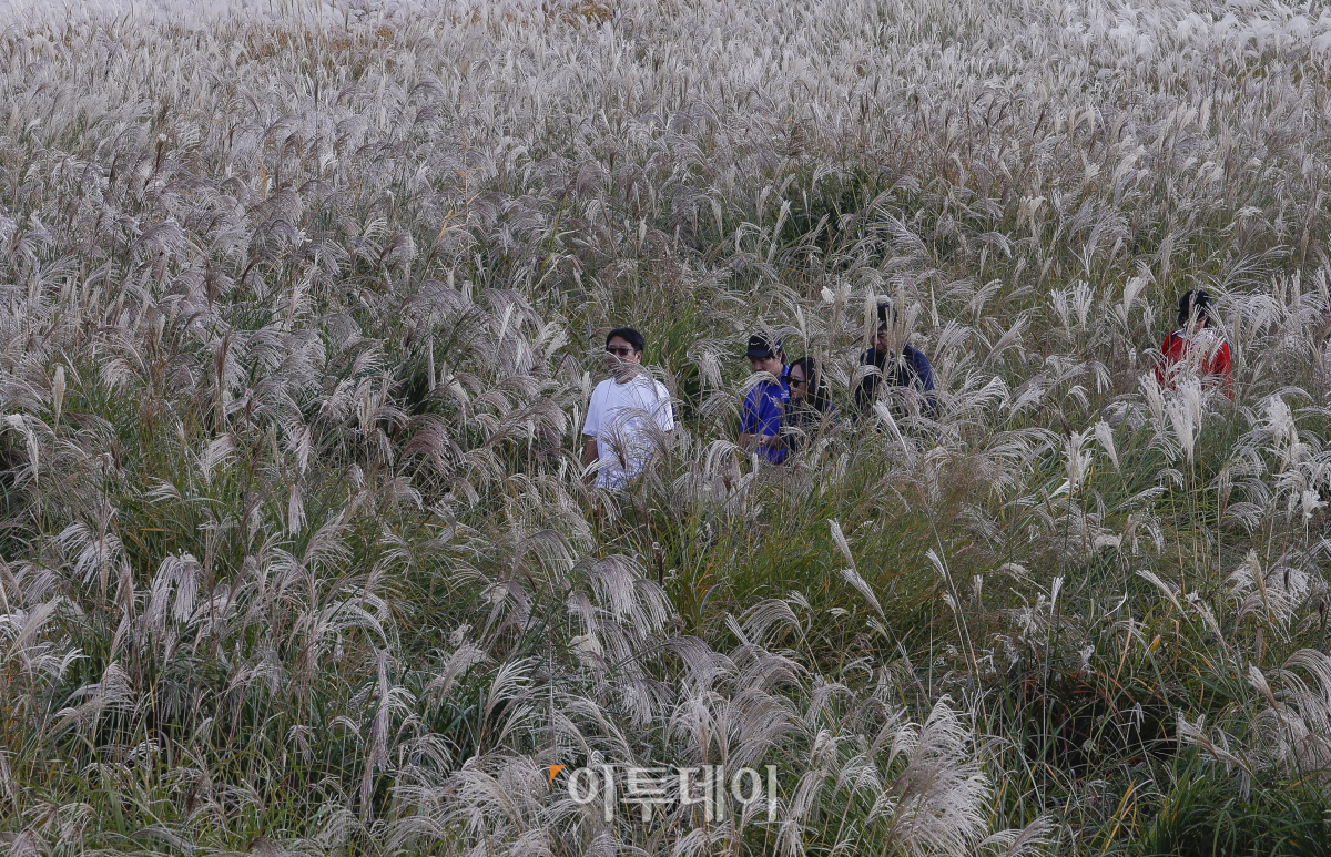 ▲완연한 가을 날씨를 보인 3일 서울 마포구 하늘공원을 찾은 시민들이 즐거운 시간을 보내고 있다. 조현호 기자 hyunho@