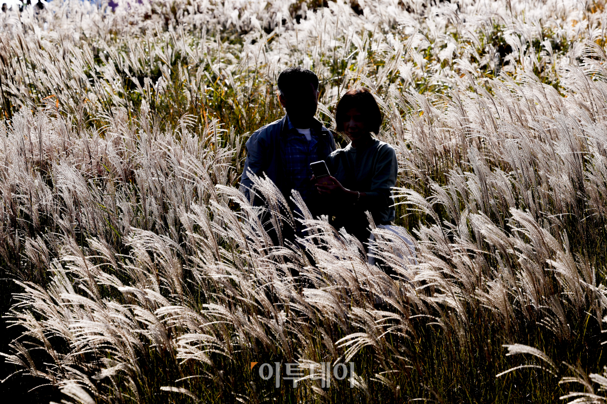 (조현호 기자 hyunho@)