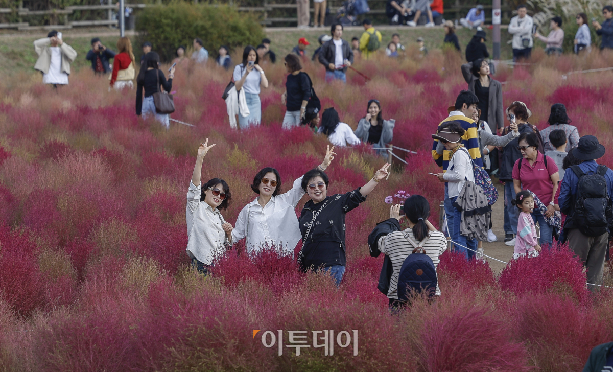 ▲완연한 가을 날씨를 보인 3일 서울 마포구 하늘공원을 찾은 시민들이 즐거운 시간을 보내고 있다. 조현호 기자 hyunho@