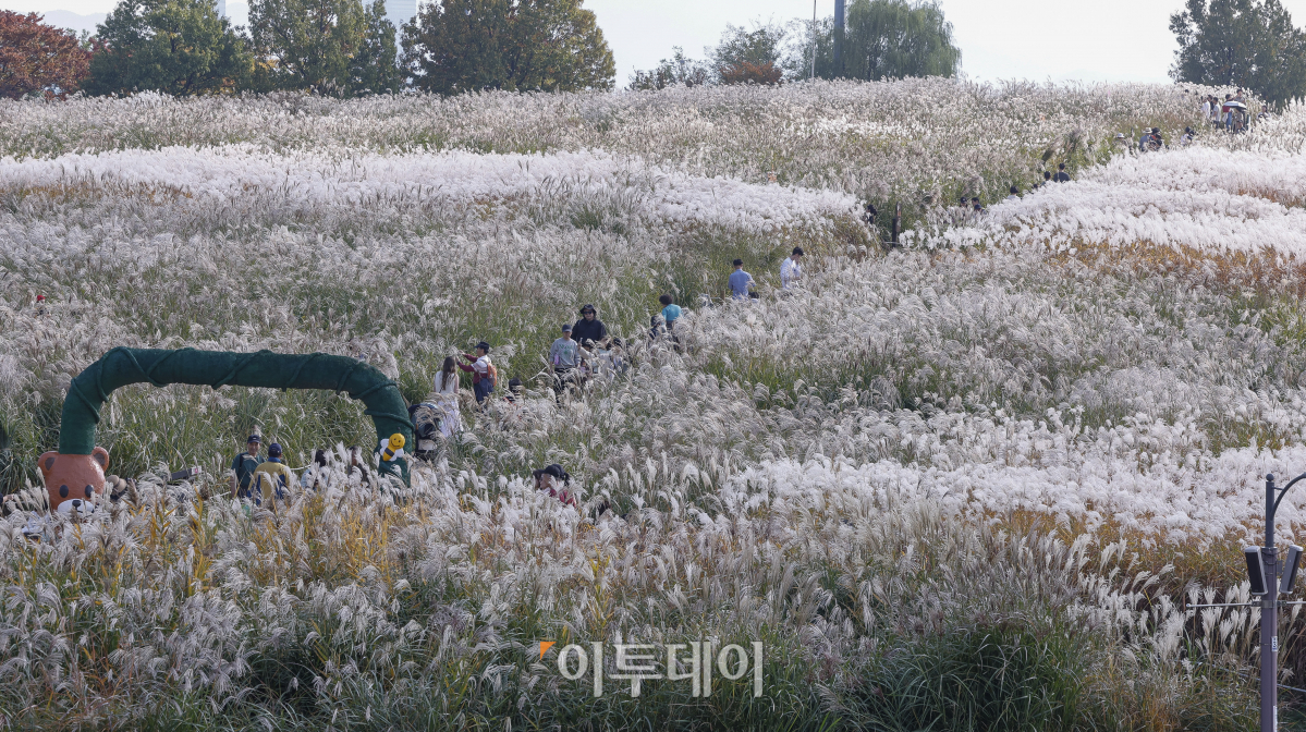 ▲완연한 가을 날씨를 보인 3일 서울 마포구 하늘공원을 찾은 시민들이 즐거운 시간을 보내고 있다. 조현호 기자 hyunho@