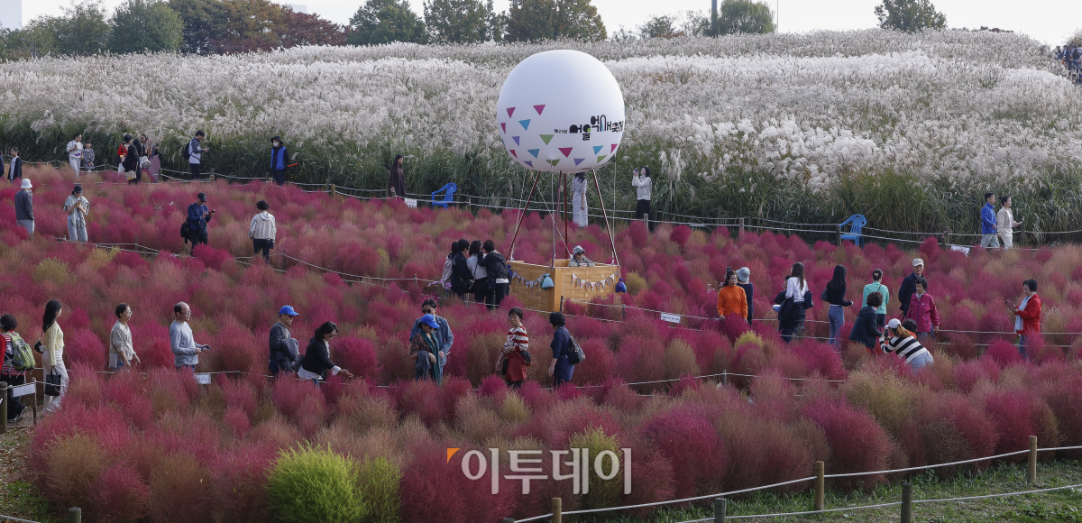 ▲완연한 가을 날씨를 보인 3일 서울 마포구 하늘공원을 찾은 시민들이 즐거운 시간을 보내고 있다. 조현호 기자 hyunho@