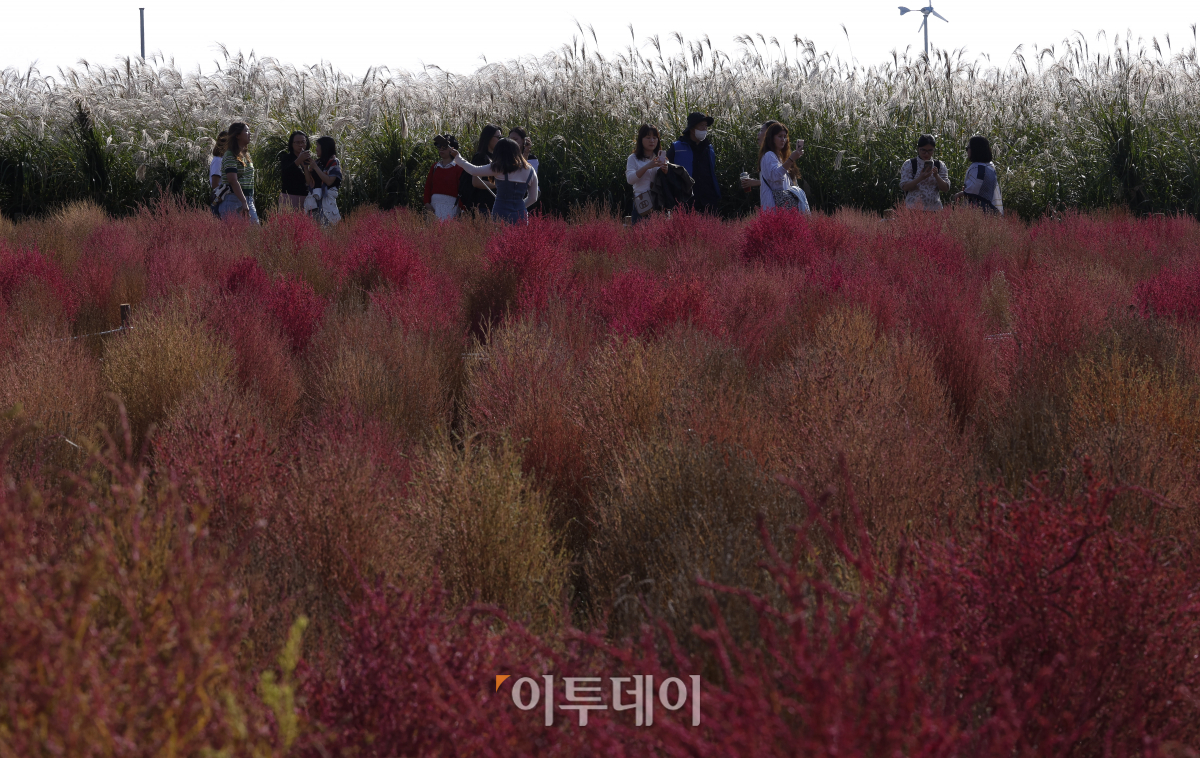 ▲완연한 가을 날씨를 보인 3일 서울 마포구 하늘공원을 찾은 시민들이 즐거운 시간을 보내고 있다. 조현호 기자 hyunho@