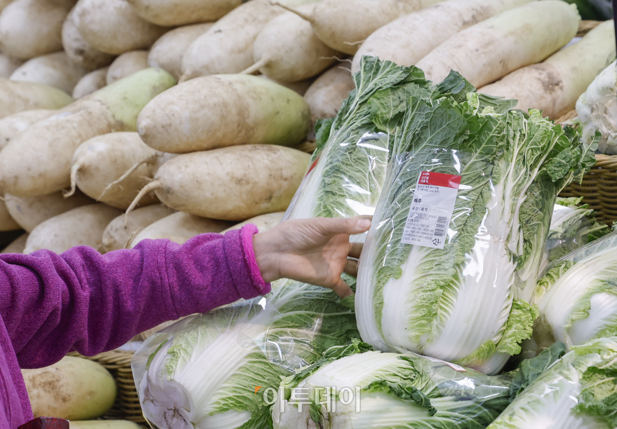 ▲소비자물가 상승률이 두 달 연속 1%대를 기록하며 둔화세를 이어갔다. 5일 통계청이 발표한 소비자물가동향에 따르면 10월 소비자물가 지수는 114.69(2020년=100)로 작년 같은 달보다 1.3% 상승했다. 다만, 농축수산물 가격 상승세는 여전히 높은 수준을 유지하고 있다. 김장 재료인 배추(51.5%), 무(52.1%) 등 채소는 50% 넘게 상승했고 상추도 49.3% 올랐다. 이날 서울 시내 한 대형마트를 찾은 시민들이 김장 재료인 배추와 무를 살펴보고 있다. 조현호 기자 hyunho@