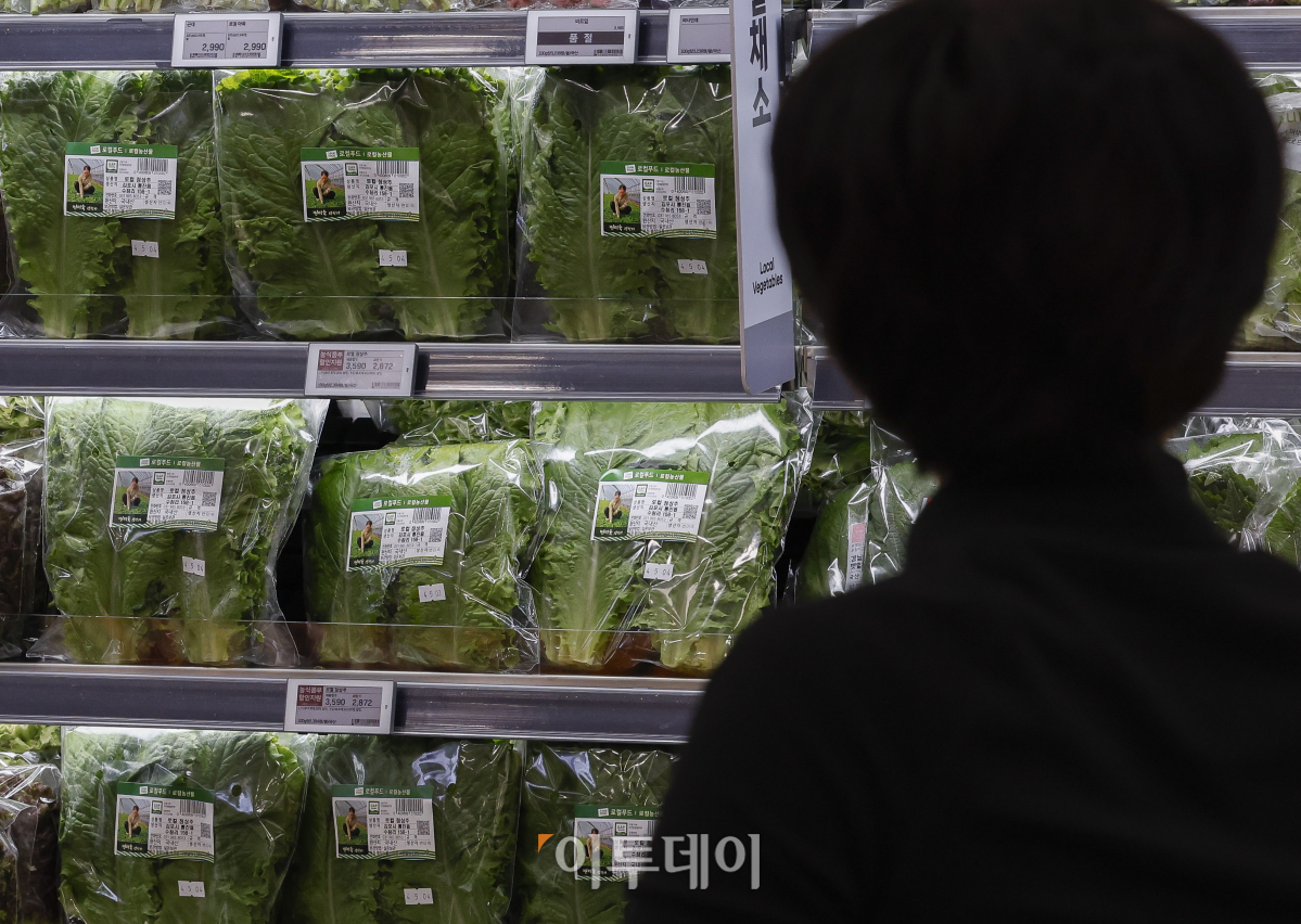 ▲소비자물가 상승률이 두 달 연속 1%대를 기록하며 둔화세를 이어갔다. 5일 통계청이 발표한 소비자물가동향에 따르면 10월 소비자물가 지수는 114.69(2020년=100)로 작년 같은 달보다 1.3% 상승했다. 다만, 농축수산물 가격 상승세는 여전히 높은 수준을 유지하고 있다. 김장 재료인 배추(51.5%), 무(52.1%) 등 채소는 50% 넘게 상승했고 상추도 49.3% 올랐다. 이날 서울 시내 한 대형마트를 찾은 시민이 상추를 살펴보고 있다. 조현호 기자 hyunho@