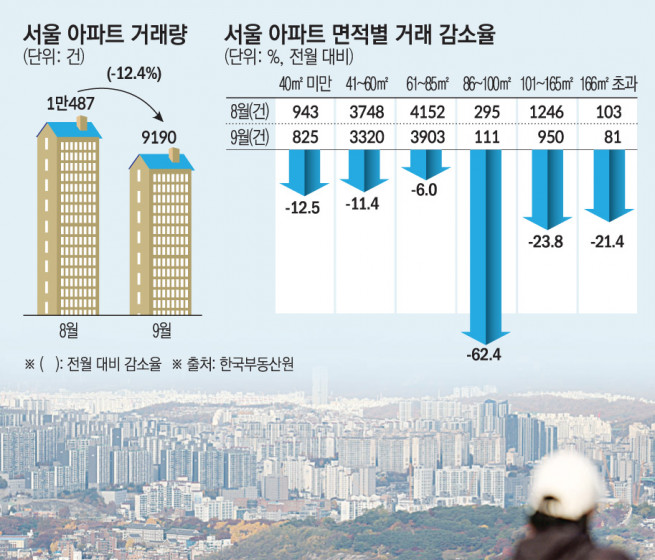 잘 나가던 서울 대형 아파트 대출 규제에 급제동?……집값·거래량 ‘뚝뚝’