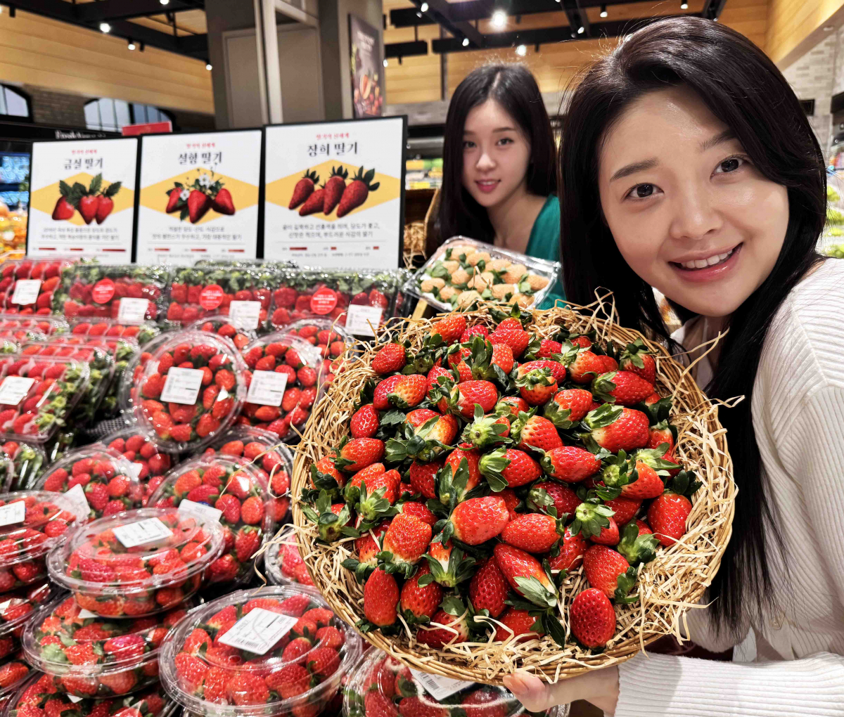 ▲신세계백화점이 전 점포 식품 매장에서 올 겨울 첫 수확한 딸기 5종을 선보이는 '얼리 윈터 딸기의 신세계' 행사를 진행한다. (사진제공=신세계백화점)