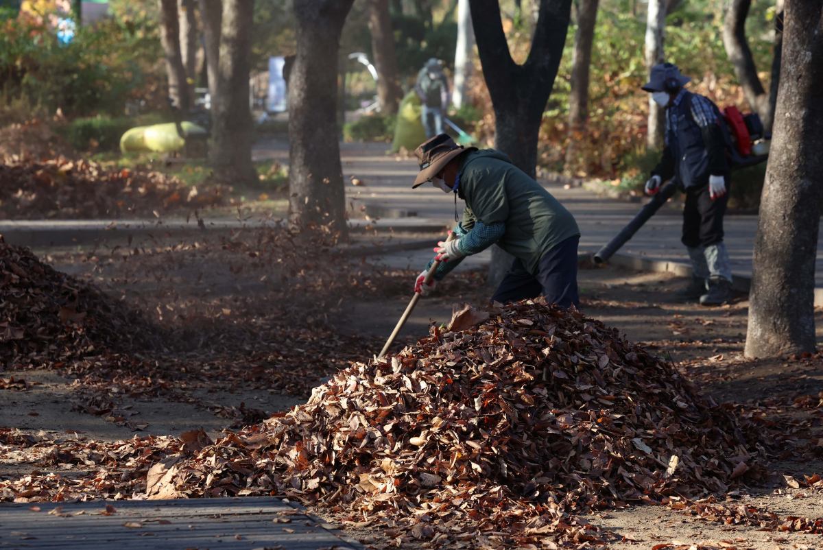 ▲첫 눈이 내린다는 절기상 소설(小雪)이자 가을의 끝자락에 접어든 22일 서울 동작구 보라매공원에서 관계자들이 낙엽을 치우고 있다. 신태현 기자 holjjak@