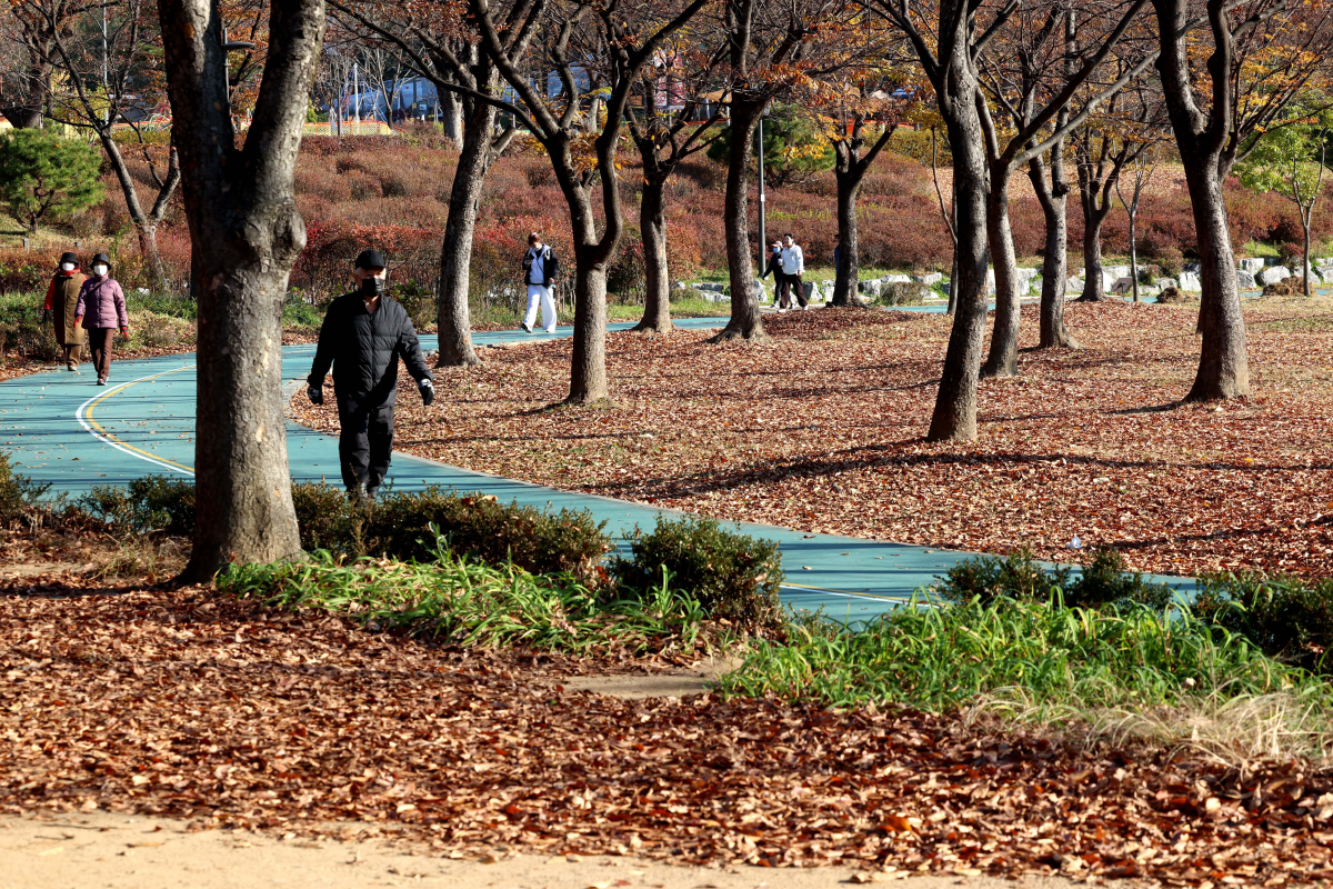 ▲첫 눈이 내린다는 절기상 소설(小雪)이자 가을의 끝자락에 접어든 22일 서울 동작구 보라매공원에 떨어진 낙엽이 만추의 정취를 전하고 있다. 신태현 기자 holjjak@