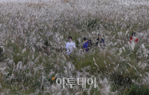 ▲완연한 가을 날씨를 보인 3일 서울 마포구 하늘공원을 찾은 시민들이 즐거운 시간을 보내고 있다. 조현호 기자 hyunho@