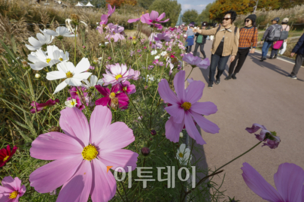 ▲완연한 가을 날씨를 보인 3일 서울 마포구 하늘공원을 찾은 시민들이 즐거운 시간을 보내고 있다. 조현호 기자 hyunho@