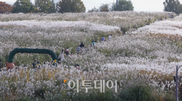 ▲완연한 가을 날씨를 보인 3일 서울 마포구 하늘공원을 찾은 시민들이 즐거운 시간을 보내고 있다. 조현호 기자 hyunho@