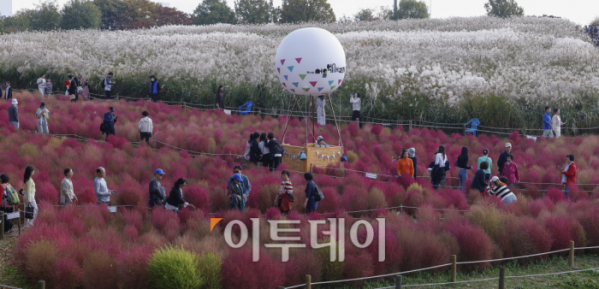 ▲완연한 가을 날씨를 보인 3일 서울 마포구 하늘공원을 찾은 시민들이 즐거운 시간을 보내고 있다. 조현호 기자 hyunho@