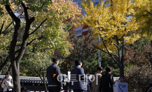 ▲절기상 입동(立冬)을 하루 앞둔 6일 서울 중구 덕수궁 돌달김 가로수에 단풍이 물들어가고 있다. 단풍은 추운 겨울을 앞두고 녹색을 띠는 나무의 엽록소가 파괴되면서 나뭇잎의 색이 붉게 물들며 만들어지는데 올해는 이례적인 늦더위가 이어지며 엽록소가 제대로 파괴되지 않아 단풍이 늦어지고 있다. 조현호 기자 hyunho@