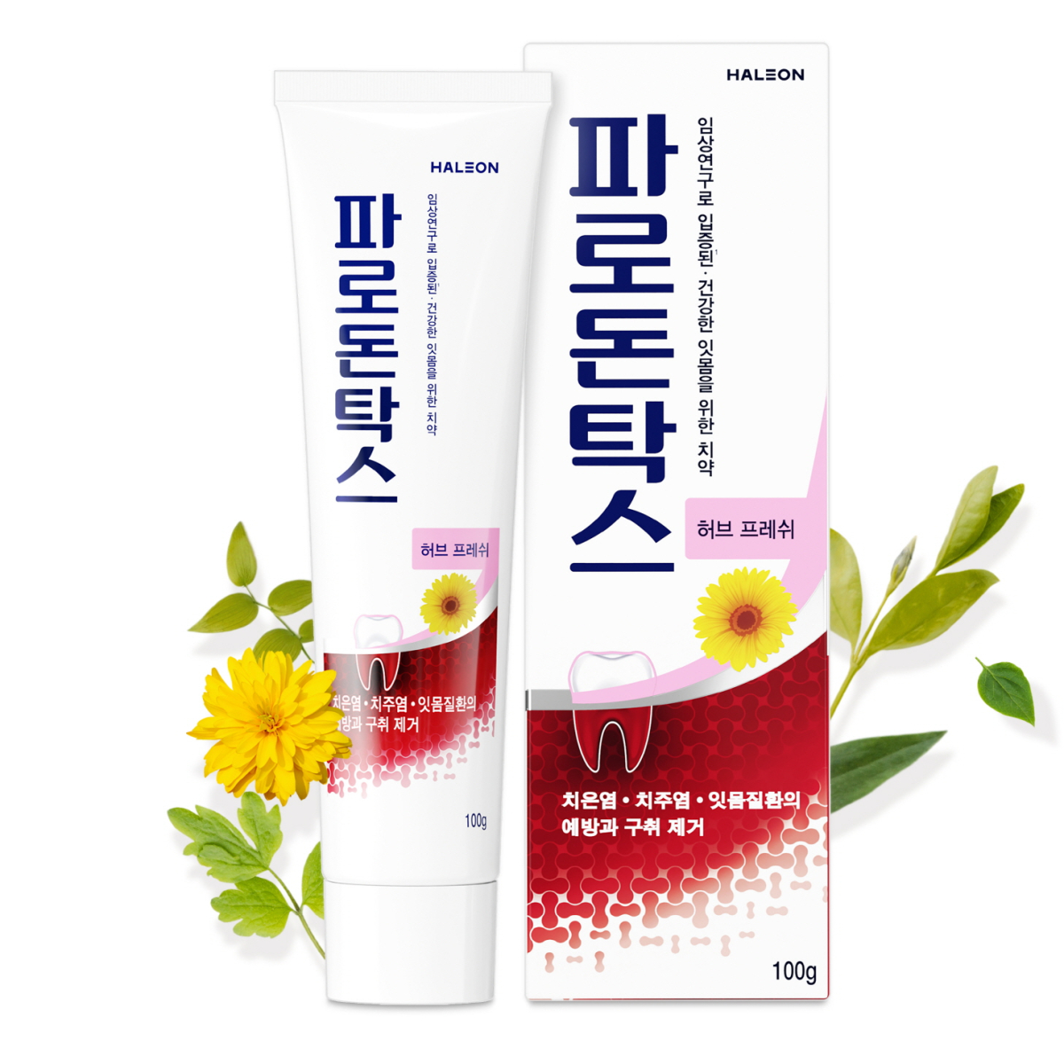 (사진제공=헤일리온)