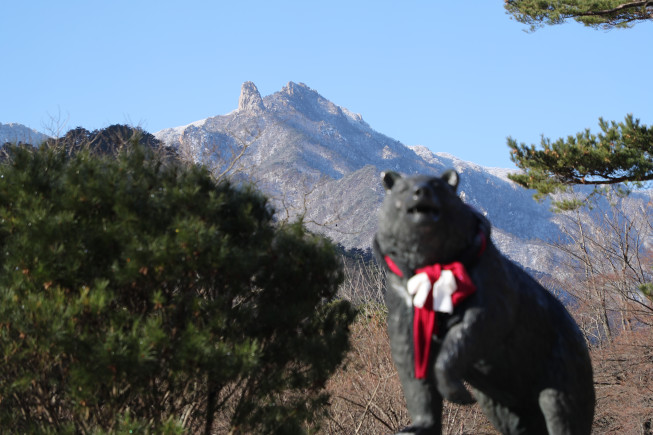 ▲12일 오전 강원 속초시 설악산국립공원 입구 반달가슴곰 동상 뒤로 눈 덮인 설악산이 보인다. 연합뉴스