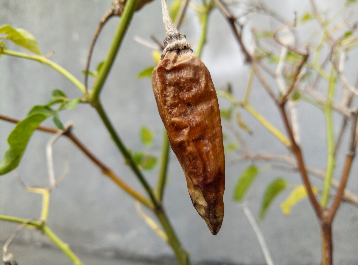 ▲출처 게티이미지