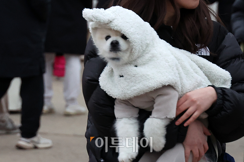 ▲2025년 을사년(乙巳年) 푸른 뱀의 해 첫날인 1일 서울 영등포구 양화 한강공원에서 반려견이 해돋이를 기다리고 있다. 고이란 기자 photoeran@