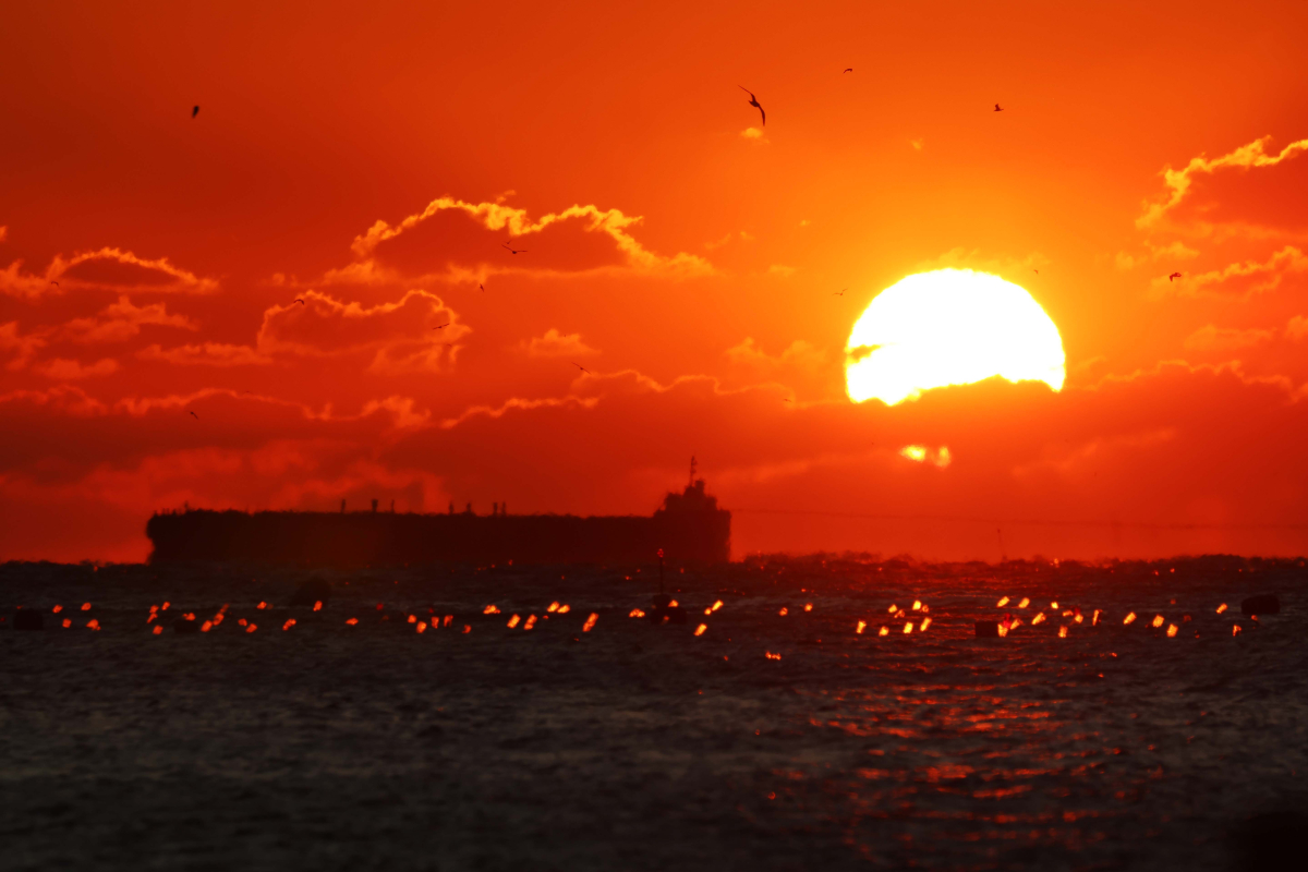 ▲대한해협을 지나는 무역선 사이로 해가 떠오른다. ‘서울의 밤’ 비상계엄사태와 이어지는 탄핵정국 속 어수선함에도 희망찬 아침은 매일 오듯 우리 경제는 멈출수 없다. 2025년 을사년(乙巳年) 새해는 해협 건너편 일본과의 수교 60주년을 맞이하는 해다. 어두운 불확실성이 밝게 걷혀 한일양국의 협력과 발전이 지속되길 바란다. 신태현 기자 holjjak@ 