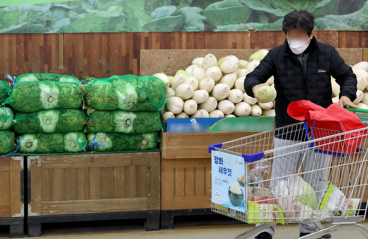 ▲배추와 무 가격이 1년 전보다 1.5배 이상 오르며 소비자 부담을 가중시키는 등 설을 앞두고 일부 농산물 가격이 상승세를 보이고 있다. 정부는 이르면 이번주 물가 관리 대책을 발표한다는 방침이다. 5일 한국농수산식품유통공사(aT)에 따르면 배추 평균 소매가격은 3일 기준 한 포기에 5027원으로 1년 전과 비교해 58.9% 올랐다. 무는 한 개에 3206원으로 1년 전보다 77.4% 비쌌다. 배추와 무 가격 상승은 기후변화 영향에 따른 것으로 지난해 여름철 폭염에다 추석 이후까지 늦더위가 이어지면서 농산물 생육이 부진했다. 설 성수품인 배 가격도 공급량 부족으로 강세다. 배(신고) 평균 소매가격은 10개에 4만1955원으로 1년 전보다 24.6% 상승했다. 이날 서울의 한 대형마트에서 시민들이 장을 보고 있다. 신태현 기자 holjjak@